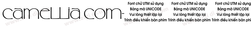Camellia Com字体转换